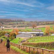 The gallops at Sandhill Racing Stables in West Somerset