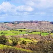 Expansive views from the top of the orchard towards Castle Drogo, imposing above the Teign Valley