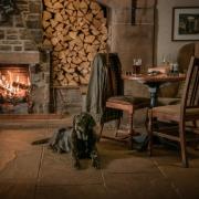 The Lister Arms is cosy and dog-welcoming.