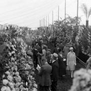 Inside the floral marquee in the 1920s