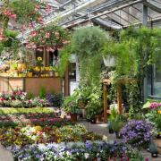What do you think makes a good garden centre? Here are some of the best across West Yorkshire