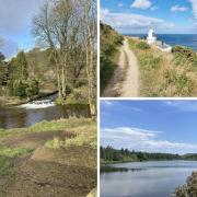 Make the most of the spring weather and head outdoors to to explore these recommended walks accorss the North York Moors