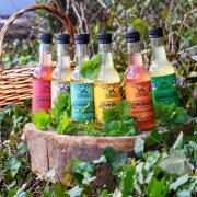 Selection of the Curious Kombucha range. All made and bottled in Dorset. (Photo: Maisie Hill)