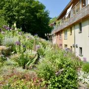 The terraced gardens in May