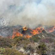 The devastating heathland wildfire at RSPB Stoborough Heath near Wareham in 2022.