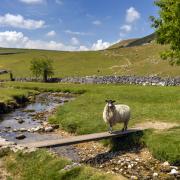 Looking for a new place to camp? Yorkshire Dales is among the best areas in the UK