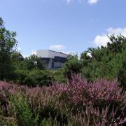 Heathland at Heysham Nature Reserve.