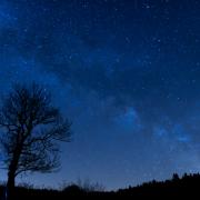 Star Filled Night Sky With A Lone Tree Silhouette On The Horizon Under The Visible Band Of The Milkyway Galaxy.