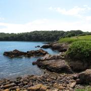 View from Churston Point, looking across Elberry Cove. Photo: Simone Stanbrook-Byrne