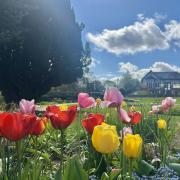 Congleton Park pictured by Cheshire Lifer reader Sasha Bandaranaike