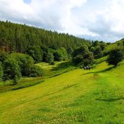 A beautiful stretch through a surprise valley on the way back to Eggesford.