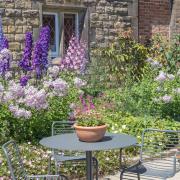 A small cottage garden with flowering plants in summer.