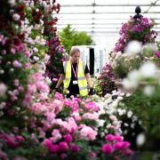 RHS Chelsea Flower Show