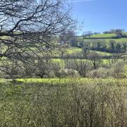 Enjoy scenic countryside views of the Kensey Valley