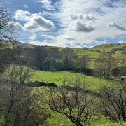 Fox Hill has extraordinary potential for wildlife.