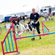 The dog agility is always a popular event