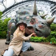 Eden Project dinosaurs
