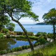 Trebah Garden in Cornwall is offering reduced entry prices this summer