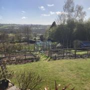 Robin's greenhouse in its picture-perfect new spot
