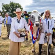 Nnatwich Show vice president Sarah Callander Beckett awards prizes in the cattle section