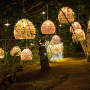 Luminescence is returning to Swinton Park Estate in October