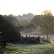 Carymoor in the mist