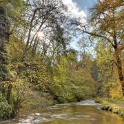 Few places are better for an autumnal walk than Beresford Dale