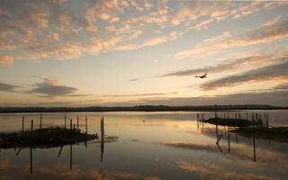 View over Brownsea Island lagoon at dawn.
