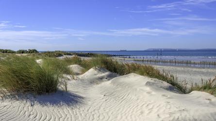 The rolling sand dunes of West Wittering. (c) Getty