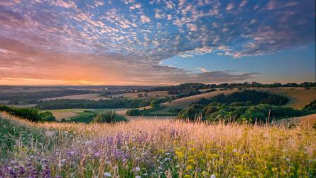 The South Downs offers walkers and cyclists beautiful views. Photo: Rick Howitt/Getty Images/iStockphoto