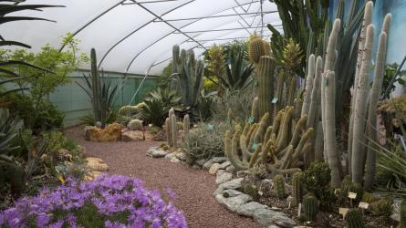 The Mexican weekend features the 'Hot & Spiky' cactus house (c) Leigh Clapp