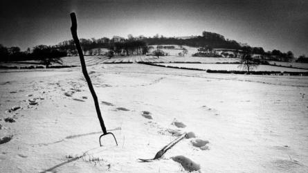 The crime scene and murder weapons. Photo: Coventry Telegraph