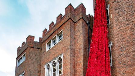 Poppies at Hertford Castle knitted by the Secret Society of Hertford Crafters commemorating the end of World War I