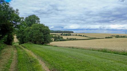 The route takes in two very different churches and part of the Icknield Way (c) Simon Taylor