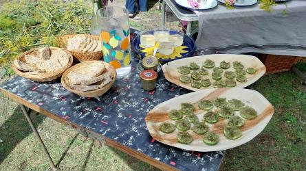 Drinks and nibbles ready to be devoured by hungry foragers