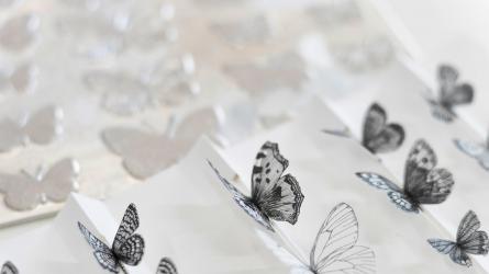 Detail from The Lost Wings of Summer, drawings and letterpress printing plate Photo Simon Regan 2023