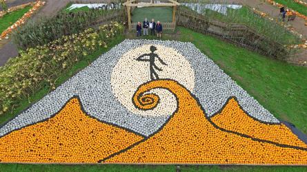 Tim Burton inspired mosaic, made from over 10,000 pumpkins and squash