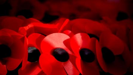 A round-up of Kent's Remembrance Services 2023