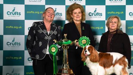 Group Winner Toy Crufts 2023 The Kennel Club