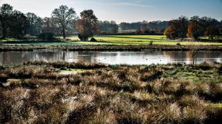 Take a moment to relax in the birdhide at The Vyne and gaze across stunning wetland views. Image: Virginia Langer