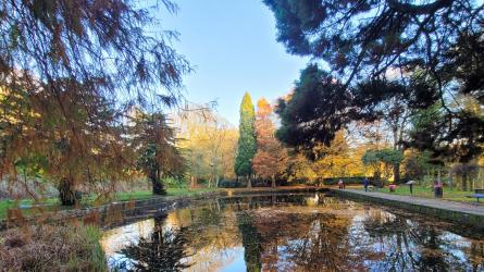 The lily pond in Witton Park. PHOTO: Stephen Whitehead
