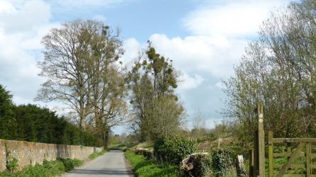 Enjoy a stroll along one of the pretty country lanes surrounding Avington House, as it was once known