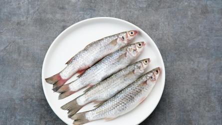Local sustainably caught fish is in high demand across the county Photo: Getty